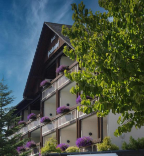 Landhotel Henkenhof Willingen